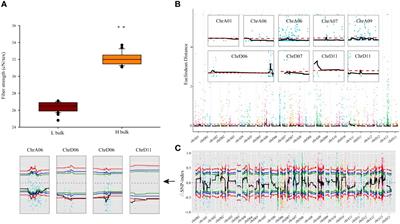 An aldehyde dehydrogenase gene, GhALDH7B4_A06, positively regulates fiber strength in upland cotton (Gossypium hirsutum L.)